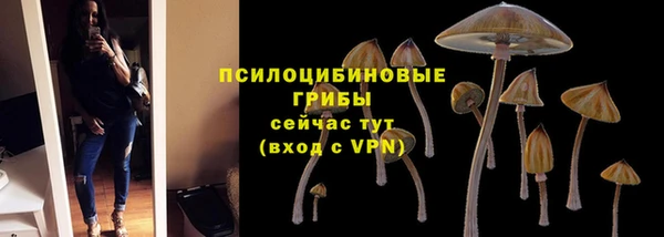 индика Арсеньев