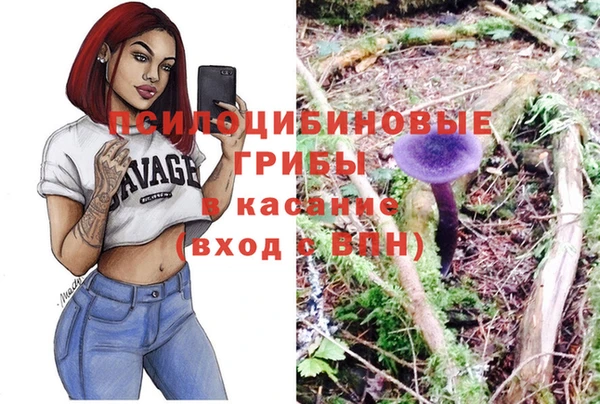индика Арсеньев