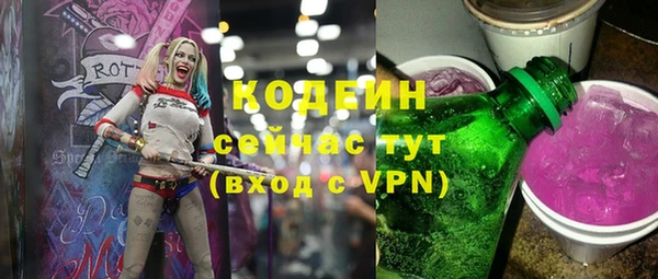 индика Арсеньев