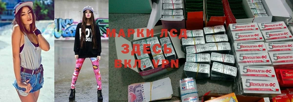 индика Арсеньев