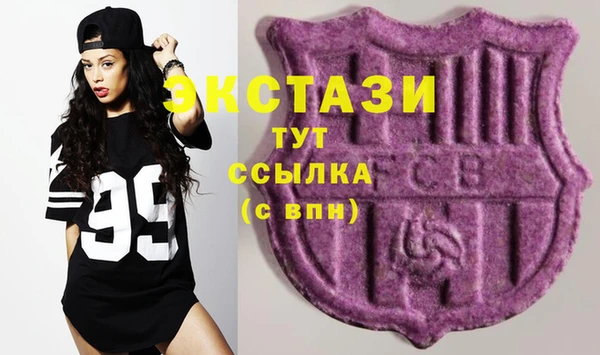 индика Арсеньев