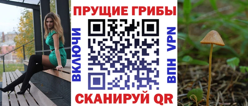 Псилоцибиновые грибы мицелий  Приморско-Ахтарск 